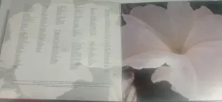 Vinilo Seguridad Social - iQue No Se Apague La Lla