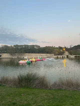 Busco trabajo para fines de semana tengo documento