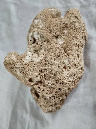 Pietre calcaree per acquario/terrario