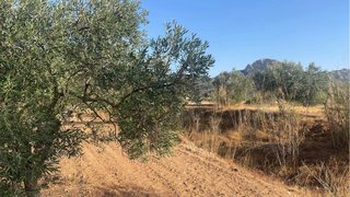 Parcela rústica 21.000 m² con agua y luz – Vallada