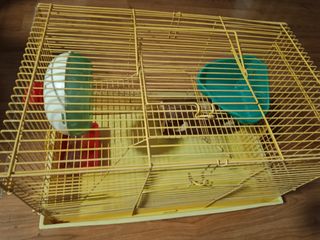 Jaula para hámster con accesorios