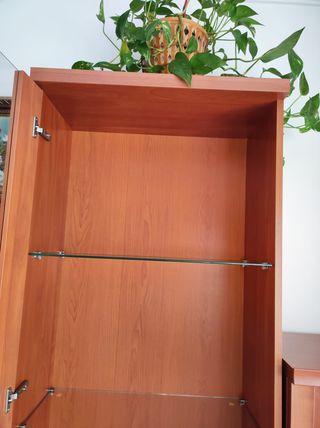 Vitrinas de madera y cristal