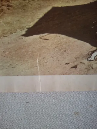 Don Quijote de la Mancha, colección completa.