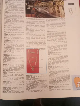 Diccionario enciclopédico Salvat