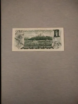 Lotto di Banconote: Dollaro USA e Peso Messicano