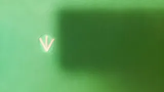 Camiseta Energie Verde