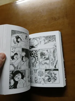 La leyenda de Kujaku (manga 2)