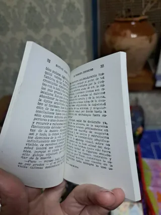 Libro El Pesimista Corregido Edición Pulga n155