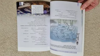 Libro The Ghost Ship Julie Hart (Burlington Books)