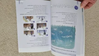 Libro The Ghost Ship Julie Hart (Burlington Books)