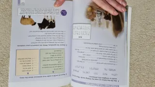 Libro The Ghost Ship Julie Hart (Burlington Books)