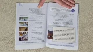 Libro The Ghost Ship Julie Hart (Burlington Books)