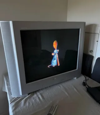 TV Sony Trinitron 29 Tubo