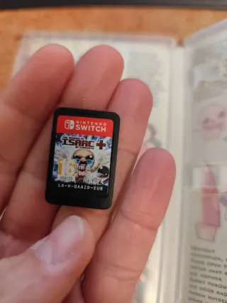 The Binding of Isaac: Afterbirth+ Nintendo Switch