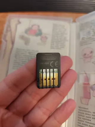 The Binding of Isaac: Afterbirth+ Nintendo Switch