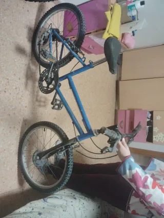 Bicicleta infantil azul