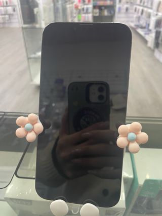 iPhone 13 Pro Max 256GB Negro/Gris