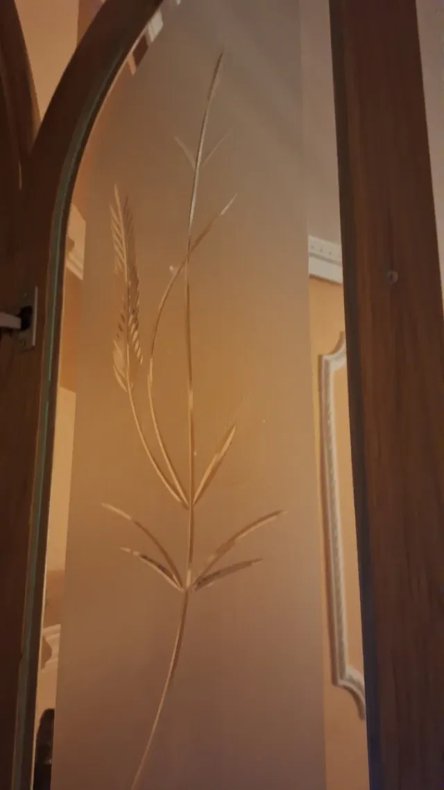 Puertas de vitrina de madera con cristal