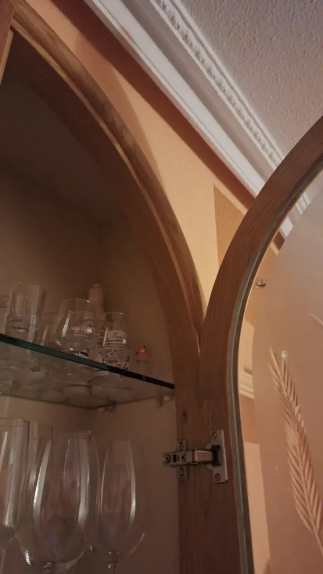 Puertas de vitrina de madera con cristal