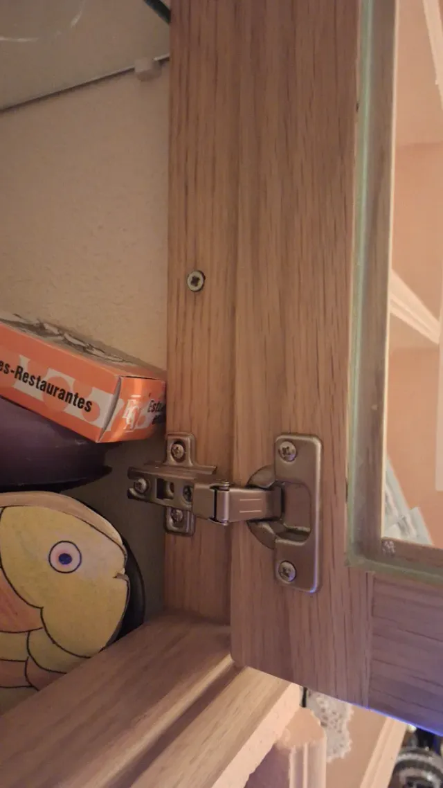 Puertas de vitrina de madera con cristal