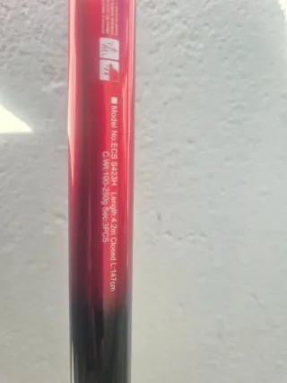 2 cañas de pesca para siluro y peces grandes