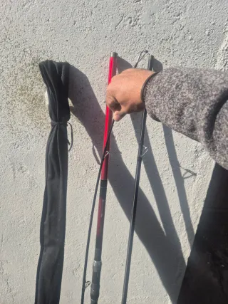 2 cañas de pesca para siluro y peces grandes