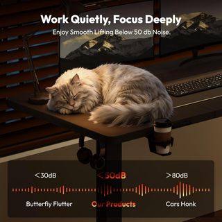 Escritorio SANODESK Eléctrico Elevable 160x60cm