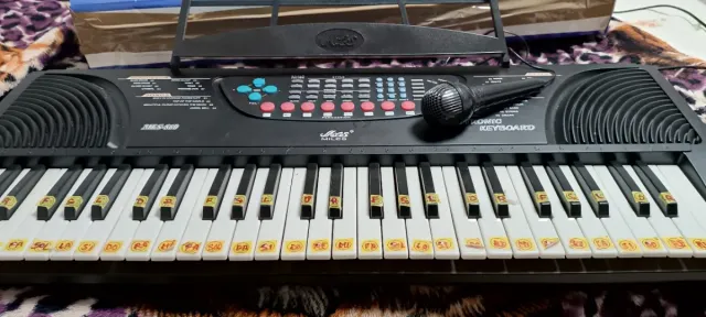 Teclado Electrónico Miles MTS-860 con micrófono .