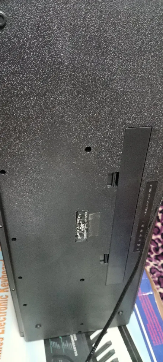 Teclado Electrónico Miles MTS-860 con micrófono .