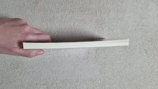 La venjança dels Panteres Negres Gemma Lienas