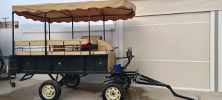 Carretón de paseo con toldo
