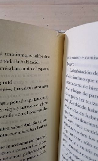 El Salón de Ámbar