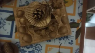 Figura Ángel en Concha Decorativa