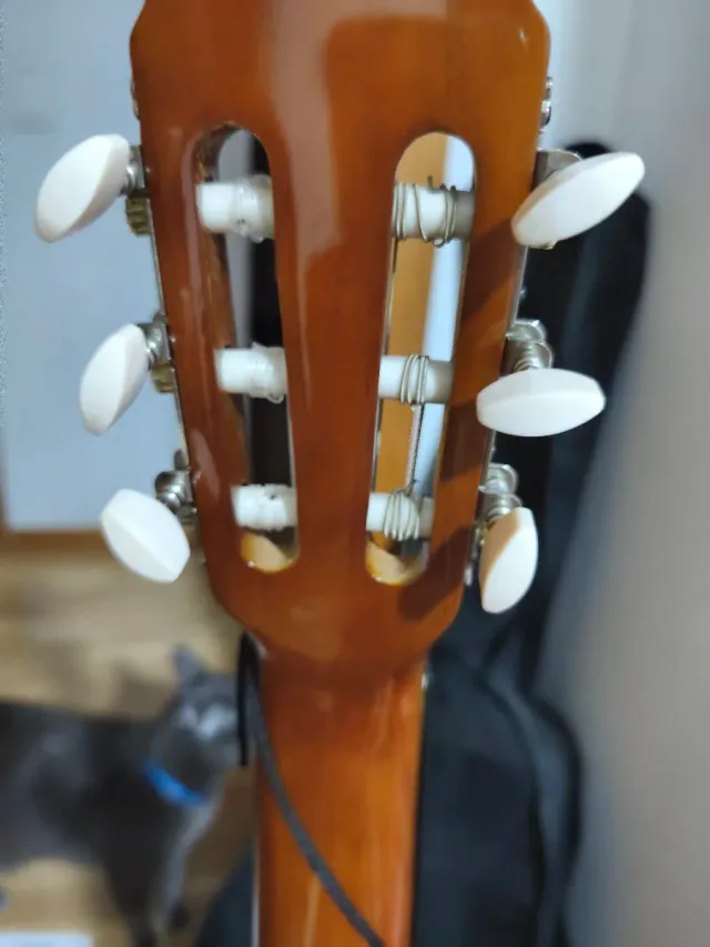 Guitarra clásica con funda