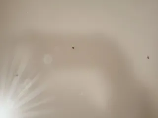 Mesa estudio infantil madera ikea