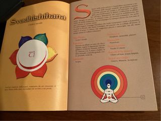 CD I Suoni dei Chakra + Libretto