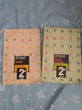Lote 15 libros egb y bup: lengua, mates, química..