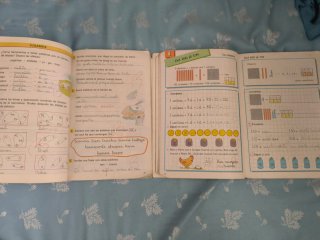 Lote 15 libros egb y bup: lengua, mates, química..