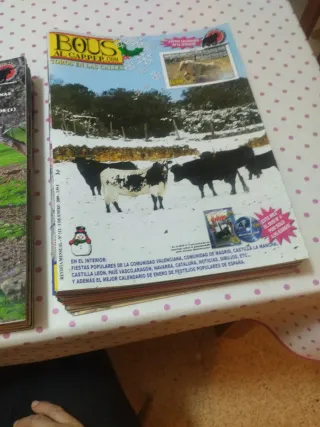 Colección  Revista Bous al Carrer 2007, 2008 2009