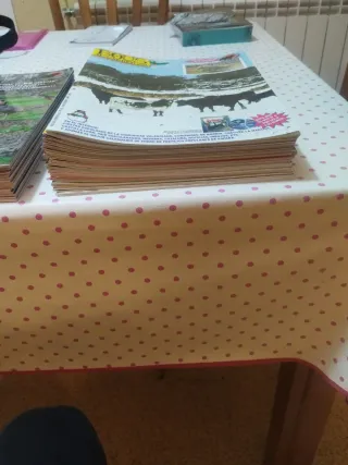 Colección  Revista Bous al Carrer 2007, 2008 2009