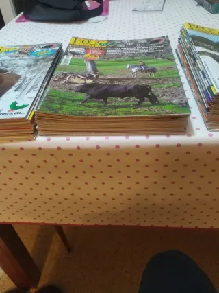 Colección  Revista Bous al Carrer 2007, 2008 2009