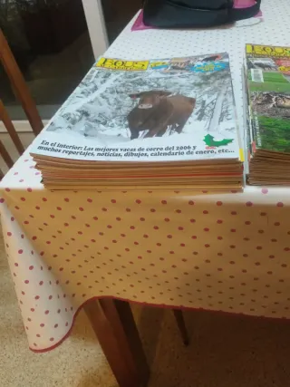 Colección  Revista Bous al Carrer 2007, 2008 2009