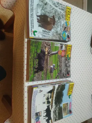 Colección  Revista Bous al Carrer 2007, 2008 2009