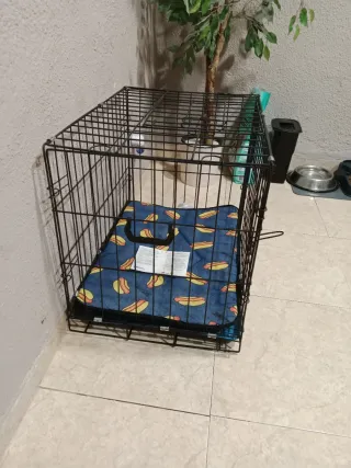 Jaula para perro negra con base azul
