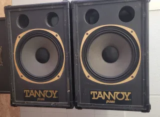Altavoces Tannoy Puma