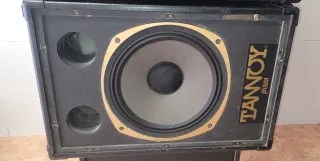 Altavoces Tannoy Puma