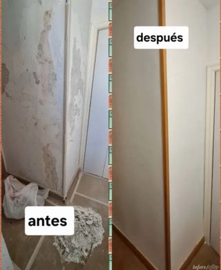 Pintor de paredes profesional