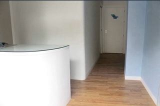 Pintor de paredes profesional