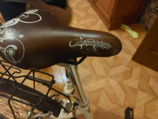 Bicicleta Paseo Lombardo Estilo Vintage