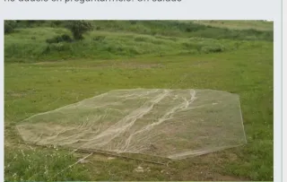 Red de silvestrismo de libro